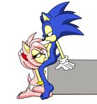  amy_rose sonic_team sonic_the_hedgehog sonikdude750 tagme 