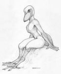  2018 4_fingers 4_toes ambiguous_gender anisodactyl anthro arm_tuft avian beak biped bird bird_feet claws ecmajor feather_tuft feathers full-length_portrait girly greyscale leaning leaning_forward looking_aside looking_away monochrome nude portrait shadow shoebill side_view simple_background sitting slim smile solo tail_feathers talons toe_claws toes traditional_media_(artwork) tuft white_background 