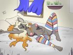  2018 anthro bed big_breasts black_nose blonde_hair blue_eyes breasts clothing female fur grey_fur hair koala legwear lying mammal marsupial maywynne navel nipples on_back pillow pussy sailoranna thigh_highs 