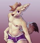  anthro brown_hair bulge canine claws clothing dipstick_tail eracin fennec fox fur hair inner_ear_fluff male mammal multicolored_tail navel nipples pink_eyes pinup pose simple_background solo standing tan_fur underwear 