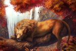  aurru autumn day eyes_closed feline feral fur inner_ear_fluff leaves lion male mammal mane outside sleeping solo tan_fur tree tree_branch water waterfall whiskers 