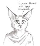  0laffson 2017 ambiguous_gender anthro caracal english_text feline mammal shadi_(0laffson) sketch solo text traditional_media_(artwork) young 