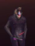  anthro balls clothed clothing erection fangs looking_at_viewer male mammal mandrill monkey muscular nipples pants_down partially_clothed penis primate sammaeel solo tongue tongue_out topless underwear 