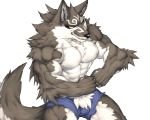  2018 abs anthro biceps canine captainjohkid digital_media_(artwork) fur hi_res male mammal muscular muscular_male pecs wolf 