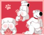  anal anal_penetration anthro balls brian_griffin canine dildo dog family_guy male mammal masturbation mkcrown penetration penis sex_toy tongue toying_self 
