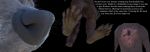  3d_(artwork) anthro claws digital_media_(artwork) disney english_text feet fur guardians_of_the_galaxy invalid_tag male mammal marvel nude paws procyonid raccoon rocket_raccoon rockyrcoon text unfinished 