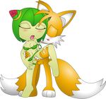  cosmo_the_seedrian seedrian sonic_team sonic_x tails tom_elias 