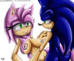  amy_rose sonic_team sonic_the_hedgehog sonicdash tagme 