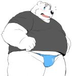  12beat13 2018 anthro bear belly blush bulge clothing fundoshi fur humanoid_hands japanese_clothing male mammal overweight overweight_male polar_bear shirane_kan shirt simple_background solo underwear utau white_background white_fur 