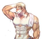  abs anthro clothed clothing digital_media_(artwork) feline fur grung hair hi_res male mammal muscular nipples pecs tiger topless 