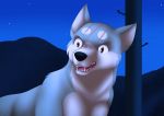  akita akita_inu alert anime canine comic dog feral gangstaguru gin_(gdw) ginga_nagareboshi_gin male mammal manga suspicious 