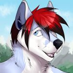  2018 anthro black_hair black_nose blue_eyes blue_sky canine day digital_media_(artwork) dog front_view fur grey_fur hair headshot_portrait hi_res looking_at_viewer male mammal multicolored_fur multicolored_hair open_mouth outside portrait red_hair signature sky smile solo thedarkestt two_tone_fur two_tone_hair whiskers white_fur 