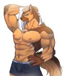  abs anthro black_nose canine chest_tuft clothed clothing digital_media_(artwork) dog facial_hair fur grung hair hi_res male mammal muscular nipples pecs topless tuft underwear 