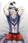  anthro blue_fur boxer_briefs bulge canine clothed clothing fur hi_res lying male mammal partially_clothed pawpads ryker simple_background solo tsaiwolf underwear 