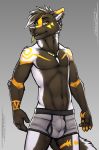  5_fingers boxer_briefs bulge canine claws clothed clothing ear_piercing jewelry male mammal necklace partially_clothed pawpads piercing simple_background tattoo tsaiwolf underwear wolf 