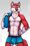  5_fingers anthro aurothos boxer_briefs boxers_(clothing) bulge canine claws clothed clothing fur male mammal partially_clothed red_fur simple_background towel tsaiwolf underwear 
