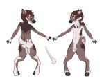  2_toes 3_fingers anatomically_correct animal_genitalia anthro backsack balls biped cervine erection flaccid front_view fur gale_(stilledfox) hair horn male mammal model_sheet patromeris penis rear_view sheath simple_background standing toes 