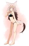  akasha_(syakoba) animal_ear_fluff animal_ears barefoot black_bra black_panties bra breasts bright_pupils commentary_request eyebrows_visible_through_hair facepaint finger_to_cheek full_body gradient_hair grey_hair hand_up highres lace lace-trimmed_bra lace-trimmed_panties leaning_forward lingerie long_hair looking_at_viewer lowleg lowleg_panties medium_breasts multicolored_hair navel original panties shako_(syakoba3) simple_background smile solo standing tail underwear wolf_ears wolf_tail 