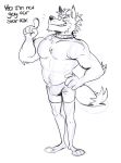  anthro boxers_(clothing) bulge canine clothing male mammal muscular muscular_male nintendo no_homo nude plum_(artist) simple_background solo star_fox stated_heterosexuality text underwear video_games white_background wolf wolf_o&#039;donnell 