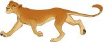  asaule cheetah feline female feral hybrid invalid_tag lion mammal pawpads spots tail_tuft tear_marks tiziri tuft 