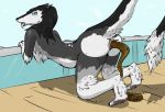  ambiguous_gender anthro bent_over biped eproc-the-philius feces looking_back nude pooping scat sergal tongue tongue_out tooshie_(stilledfox) 