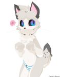  5_fingers anthro black_sclera blue_eyes briefs cat clothing feline fur grey_fur male mammal navel presto_(artist) simple_background solo standing underwear whiskers white_fur young 