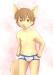  5_fingers anthro blush briefs brown_eyes brown_hair bulge canine child clothing cub dog hair male mammal open_mouth sfh solo underwear undressing young 