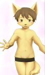  5_fingers anthro blush brown_hair canine child clothing cub dog hair male mammal navel nipples penis penis_base sfh solo young 