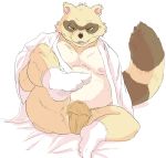  2016 anthro belly bulge canine clothing fundoshi hysk japanese_clothing male mammal moobs nipples sengoku_puzzle simple_background sitting solo tanuki tokugawa_ieyasu underwear 