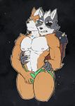  anthro canine clothed clothing duo fox fox_mccloud fully_clothed grope jockstrap male male/male mammal muscular muscular_male nintendo nipples nude star_fox summercometz underwear video_games wolf wolf_o&#039;donnell 