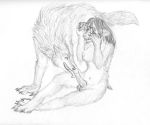  anthro arania balls breasts canine claws dickgirl erect_nipples erection female human intersex male mammal nipples nude open_mouth oral penis pointy_ears sketch smile tongue tongue_out transformation were werewolf wolf 