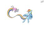  equine feathers female feral flying friendship_is_magic hair happy mammal my_little_pony nyan_cat open_mouth pegasus quynzel rainbow_dash_(mlp) wings 
