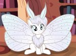  antennae arthropod badumsquish chest_tuft equine fan_character female fluffy flūf_(oc) horse hybrid insect insect_wings mammal moth my_little_pony pony sitting smile solo spread_wings tuft wings 