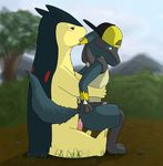  everydaydolphin lucario nintendo pokemon typhlosion 