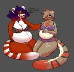  eyewear female genet glasses mammal pregnant red_panda rilewd riley viverrid 