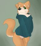  2018 anthro bottomless canine clothed clothing digital_media_(artwork) fur green_eyes grin hoodie looking_at_viewer male mammal simple_background smile wolf wulfanite 