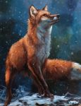  2018 ambiguous_gender black_nose canine detailed detailed_background digital_media_(artwork) digitigrade feral fluffy fluffy_tail fox fur hi_res kenket looking_away mammal markings multicolored_fur orange_eyes orange_fur orange_tail outside quadruped smile snow socks_(marking) solo two_tone_tail whiskers white_fur white_tail 