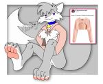  2018 4_toes barefoot bottomless canid canine claws clothed clothing collar digital_media_(artwork) drawyourfursona feet foot_focus fox fur grey_body grey_fur hi_res hindpaw hoodie male mammal meme meme_clothing pawpads paws pawzy_(artist) pawzy_(character) pink_clothing pink_nose pink_sweater pink_topwear plantigrade red_fox silver_fox smile solo sweater toe_claws toes topwear true_fox twitter_hoodie white_body white_fur 