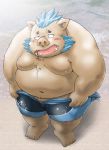  2018 anthro belly blush boar brown_fur dekatanu fur gouryou humanoid_hands male mammal mohawk moobs navel nipples overweight overweight_male penis porcine solo tokyo_afterschool_summoners tusks undresssing wetsuit 