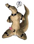  2018 alligator anthro balls bdsm bondage bound collar crocodilian erection humanoid_penis incogneat-o male muzzle_(disambiguation) nude penis presenting reptile scalie solo spreading teeth 