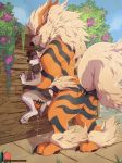  anal anthro anthro_on_feral arcanine bestiality big_dom_small_sub blue_eyes blush canine duo feral flower fur knot larger_male male male/male mammal nintendo orange_fur patto plant pok&eacute;mon pok&eacute;mon_(species) rape_face sex size_difference smaller_male video_games 