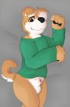  animal_genitalia anthro balls black_nose bottomless brown_eyes canine clothed clothing dog fur male mammal pawpads sheath simple_background solo sweater white_fur wulfanite 