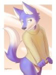  anthro balls biped blue_fur blue_tail canine clothing dipstick_tail erection fur gobanire grey_eyes jirang male mammal multicolored_fur multicolored_tail shy simple_background solo sweater two_tone_fur white_fur white_tail wolf 