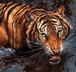  ambiguous_gender black_lips feline feral kenket mammal open_mouth painting_(artwork) partially_submerged solo teeth tiger tongue traditional_media_(artwork) water whiskers yellow_eyes 