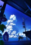  blue blue_sky calico cat cloud cloudy_sky day flower horizon leaf morning_glory no_humans ocean original outdoors power_lines scenery sky tail takeyan_(774gon) traffic_light train_station 