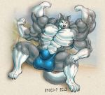  4_arms 4_nipples anthro arms_above_head beach big_penis broad_chest bulge canine clothing dog flexing huge_muscles husky hybrid lying malamute mammal multi_arm multi_limb multi_nipple multi_pec multifur muscular nipples nocturne penis penis_outline ryoku7 seaside surprise thong wolf 