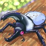  2007 arthropod beetle grant_white_beetle insect mushiking:_the_king_of_beetles solo video_games 