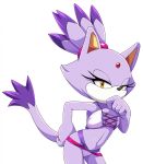  anthro blaze_the_cat cat clothed clothing dipstick_tail eyelashes feline female forehead_gem fur hair hair_tie mammal multicolored_tail purple_fur purple_hair solo sonic_(series) swimsuit the_chaos_creatures yellow_eyes 