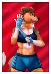  2019 abananaman anthro athletic bandage blue_eyes boxing bra brown_fur canid canine canis cheek_tuft clothing collie domestic_dog female fur mammal navel neck_tuft rough_collie shorts simple_background smile solo sport sports_bra tuft underwear 