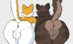  anthro artbyyellowdog backsack balls bent_over brown_fur butt butt_pose cat duo feline female fur looking_away male mammal multicolored_fur nude orange_fur perineum presenting presenting_hindquarters pussy raised_tail simple_background take_your_pick two_tone_fur white_fur 